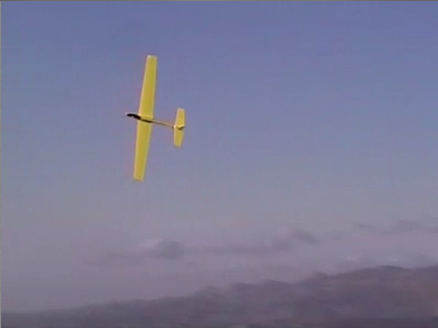 FL Bird Works Wasabi - First flights in USA